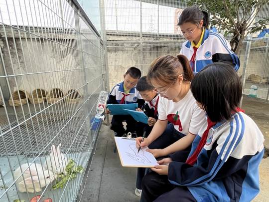 圖示, 示意圖 中度可信度描述已自動生成:ver1