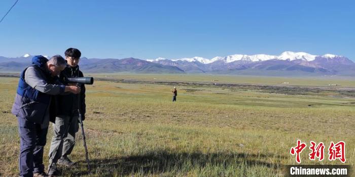 圖為工作人員正在進(jìn)行黑頸鶴衛(wèi)星跟蹤和環(huán)志工作?!∑钸B山國家公園青海省管理局供圖 攝 圖為工作人員正在進(jìn)行黑頸鶴衛(wèi)星跟蹤和環(huán)志工作?!∑钸B山國家公園青海省管理局供圖 攝