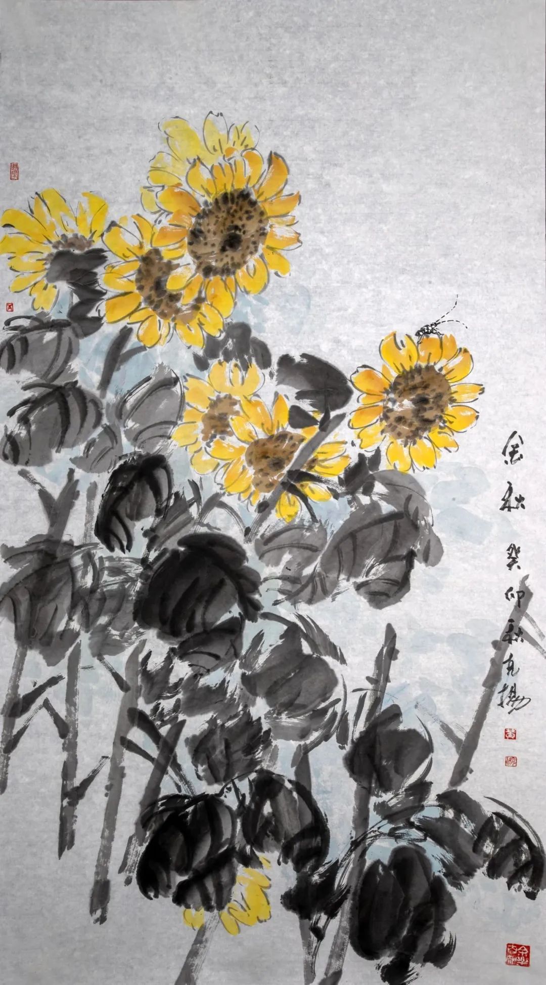 圖片