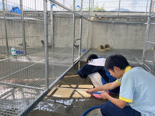 圖示, 示意圖 中度可信度描述已自動生成:ver1