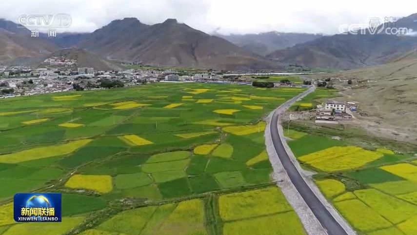 點(diǎn)擊進(jìn)入下一頁 點(diǎn)擊進(jìn)入下一頁