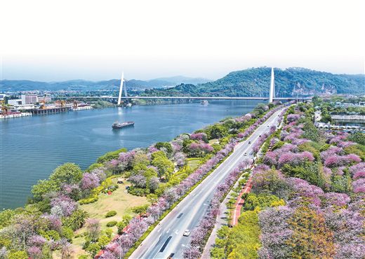 百里柳江穿城而過，沿岸風(fēng)光旖旎。 柳州市生態(tài)環(huán)境局供圖