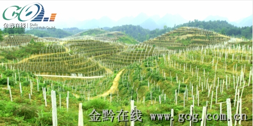 QQ截圖20140611100245.jpg