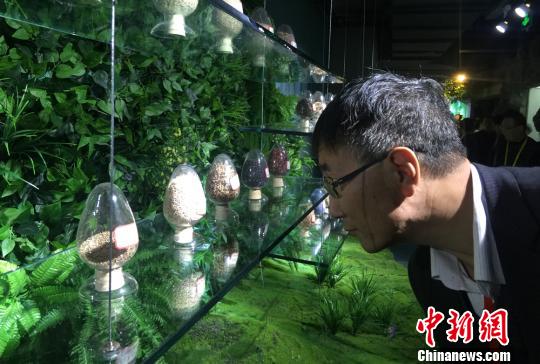 甘肅農(nóng)業(yè)大學(xué)70載輸送12萬(wàn)余人才助力農(nóng)業(yè)發(fā)展（圖）