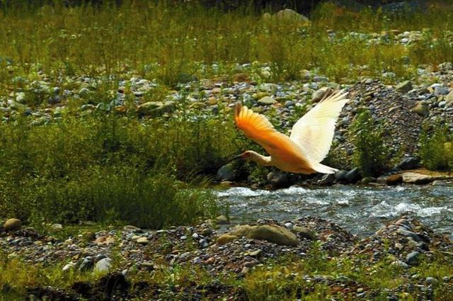 柔性治水 唱響綠色生態(tài)“秦之聲”——陜西治理一河兩江紀實