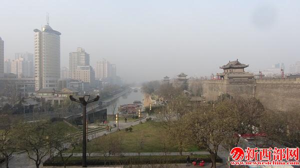 IMG_7834.jpg