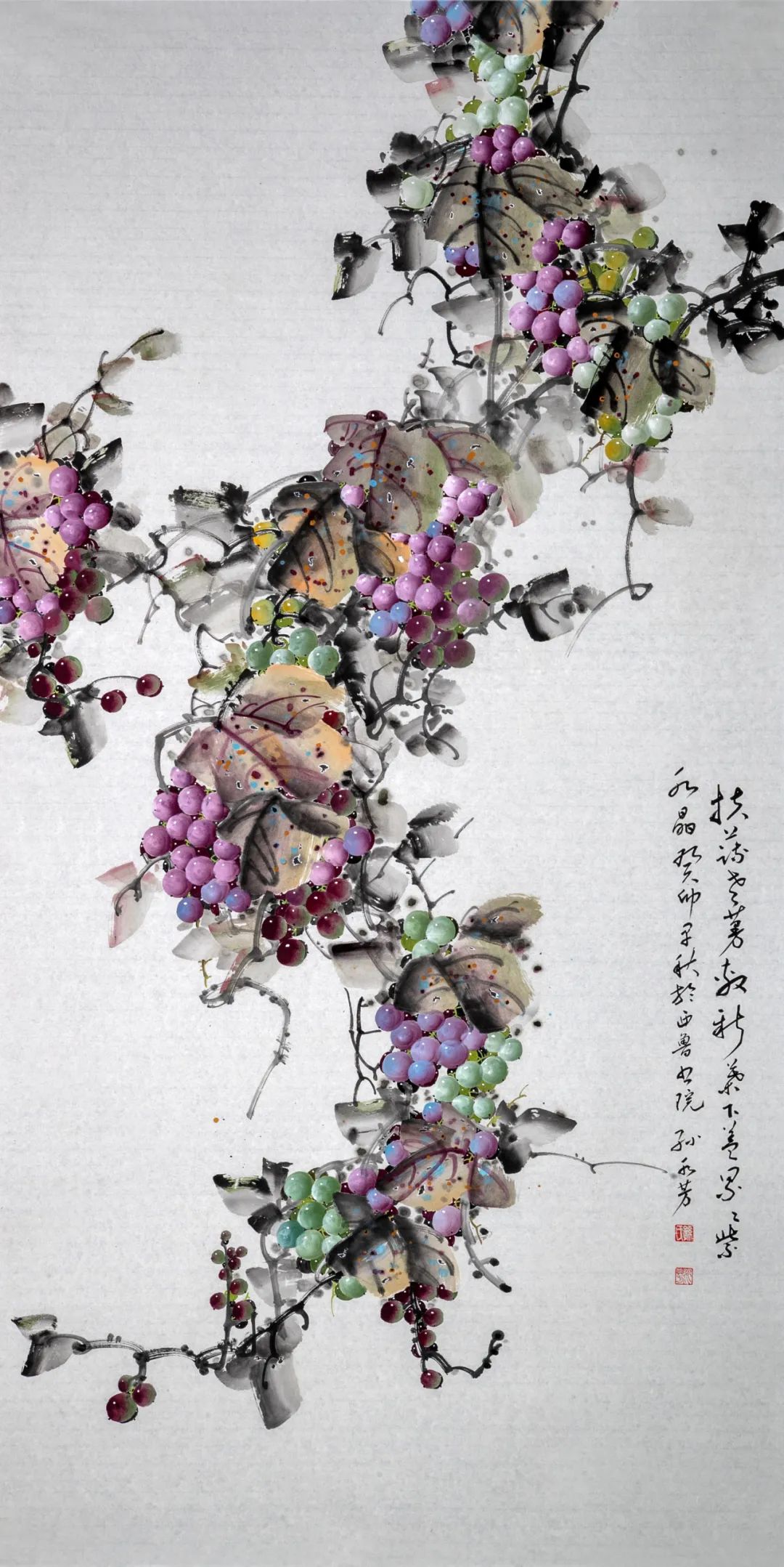 圖片