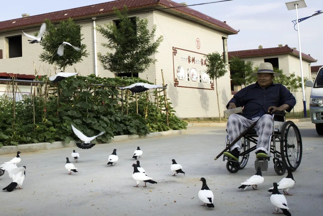 圖片 圖片