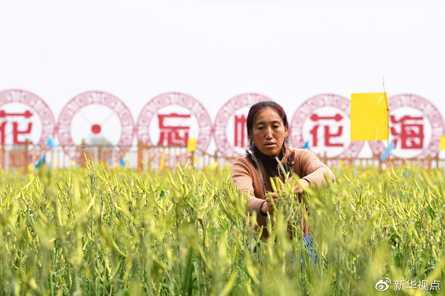 點(diǎn)擊進(jìn)入下一頁
