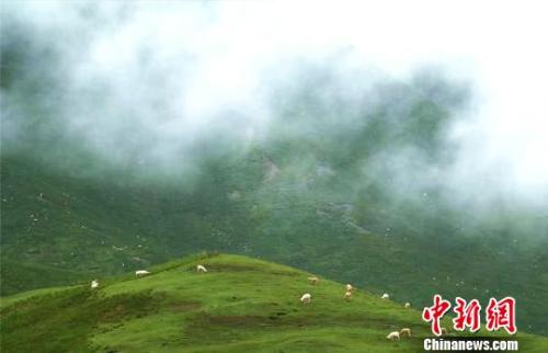 資料圖：七月的祁連山云霧繚繞?！±晌娜饠z