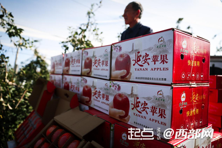 正在上傳... f8cf0c20f59e4b0efc09b15919148574.png