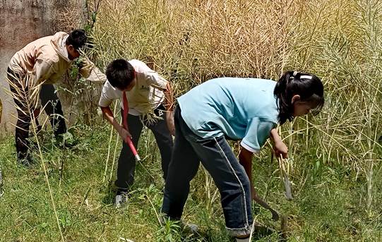 圖示, 示意圖

中度可信度描述已自動生成:ver1