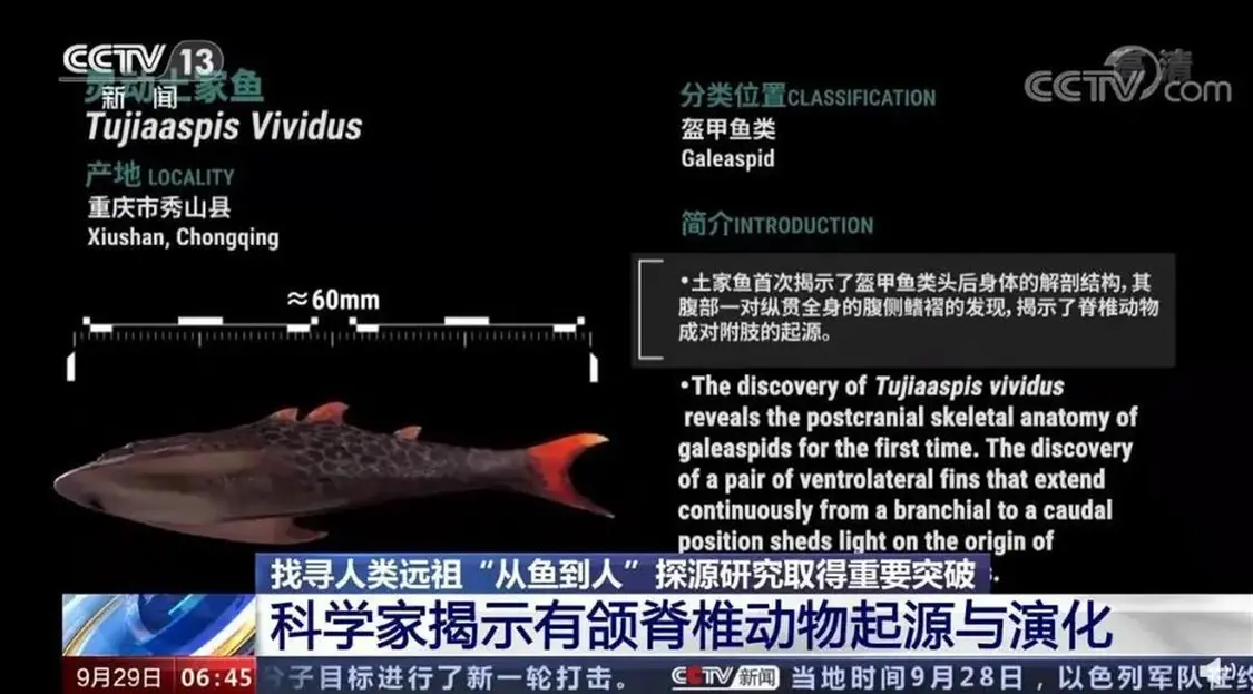 圖片 圖片
