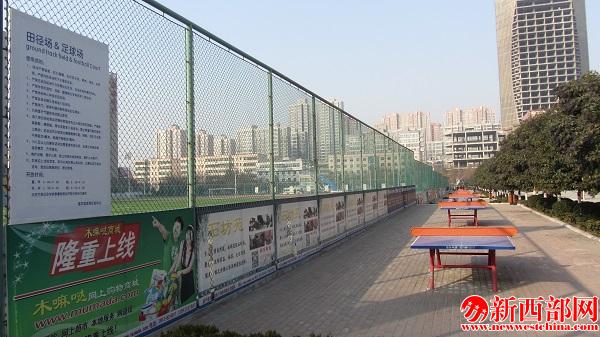 IMG_8178.jpg